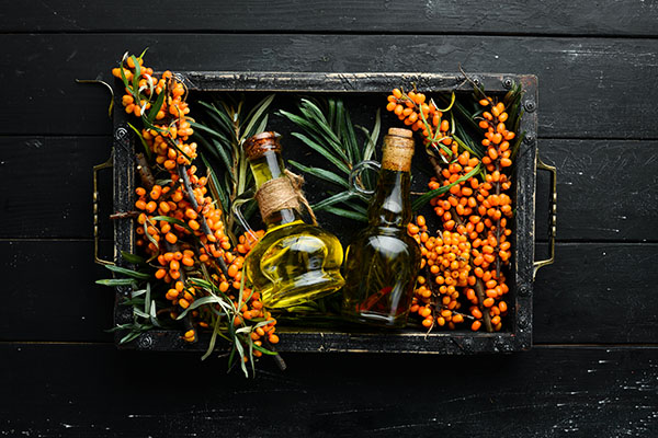 sea-buckthorn-oil-fresh-sea-buckthorn-berries-twig-top-view